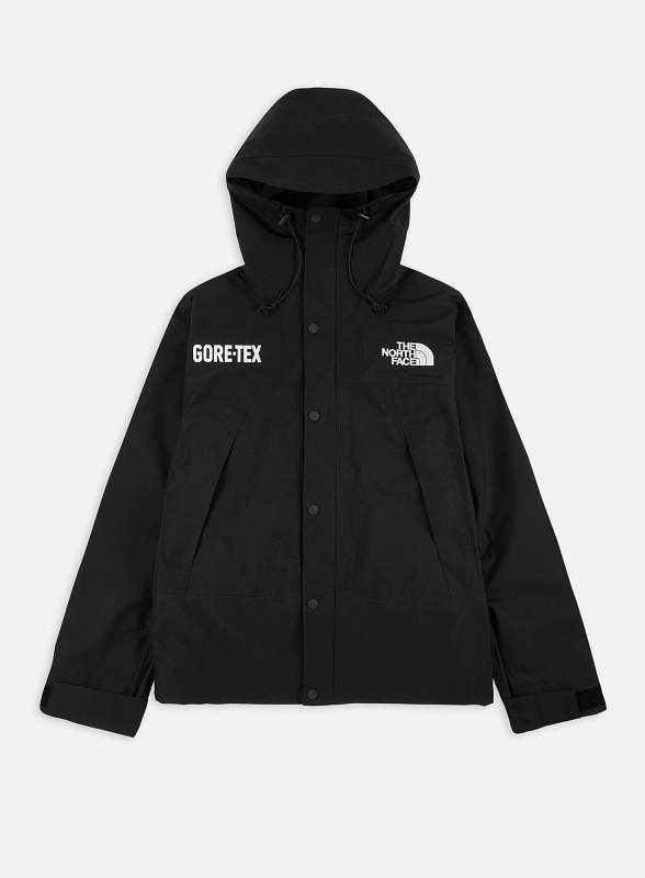 the north face gtx mountain jacket