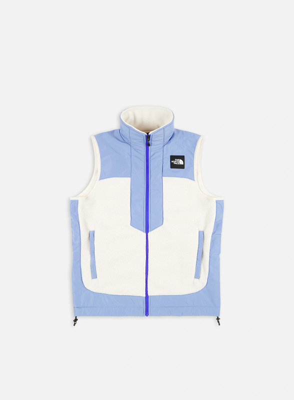 the north face fleesky Y2K Vest